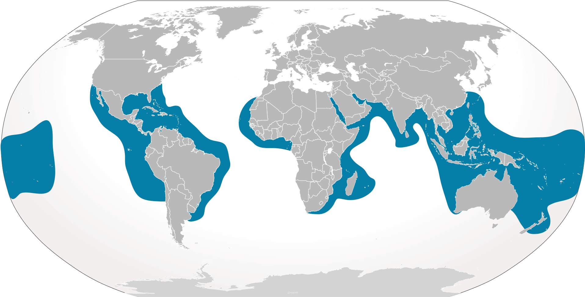 Tigershark2 Distribution Map - World Map (2000x1027), Png Download