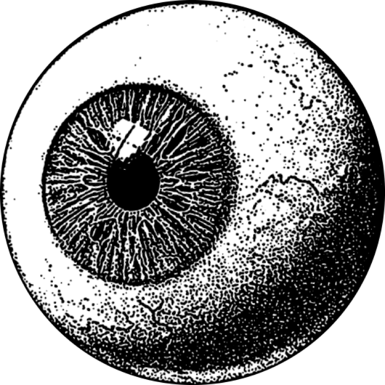 Logo Gronn Ekko Eye Illustration - Illustration (766x766), Png Download