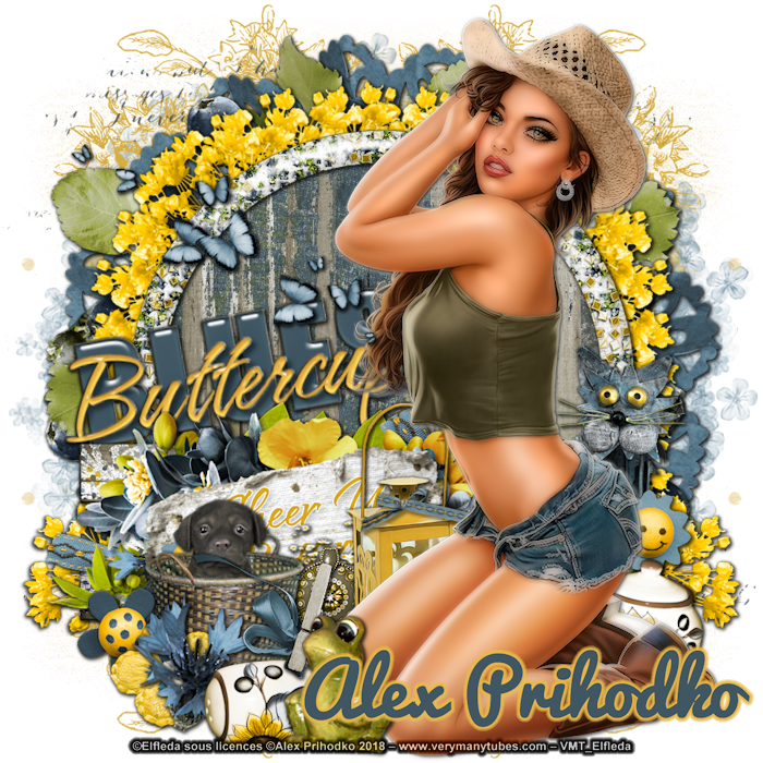 Ct Avec Alex Prihodko & Kit Dees'sign - Connecticut (700x700), Png Download