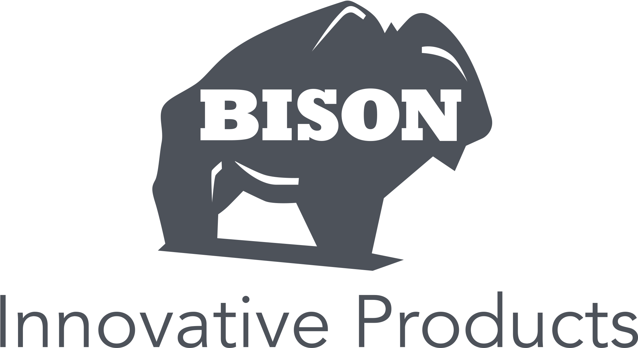 Bison Innovative Products (2400x1200), Png Download