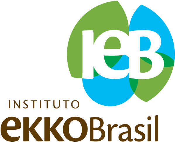 Instituto Ekko Brasil - Instituto Ekko Brasil Logo (598x485), Png Download