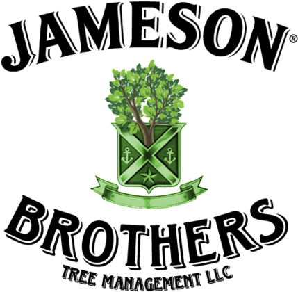 Jameson Brothers - Jameson Irish Whiskey Crest (500x485), Png Download