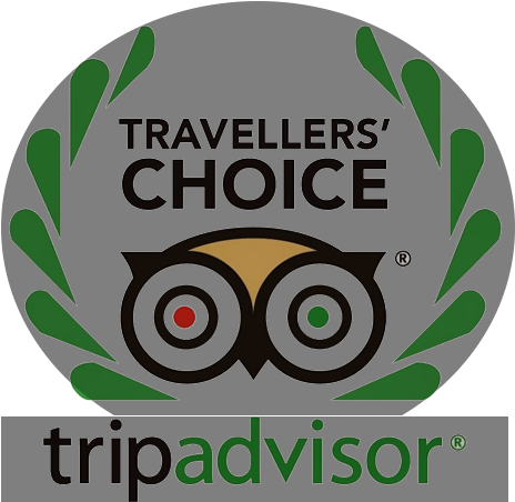Holiday Inn Express London - Tripadvisor Travelers Choice 2017 (541x466), Png Download