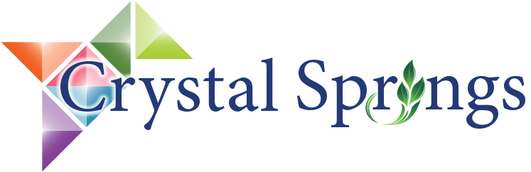 Exceptional Care For Those Who Have Life Challenges - Crystal Springs, Inc. (1000x250), Png Download