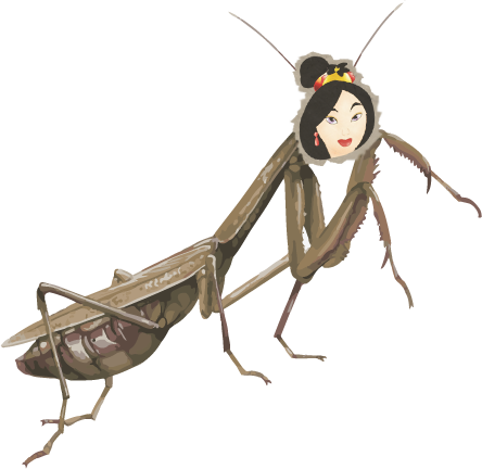 Praying Mantis With A Picture Of Disney's Mulan's Head - Clip Art (444x432), Png Download