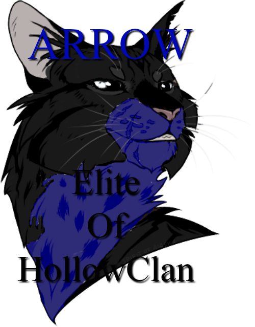 Arrow Sigpng - Black Cat (500x639), Png Download