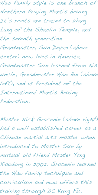 Girls Hockey (324x646), Png Download