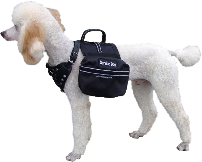 Therapy Dogs - Service Dog Mobility Cape (690x552), Png Download