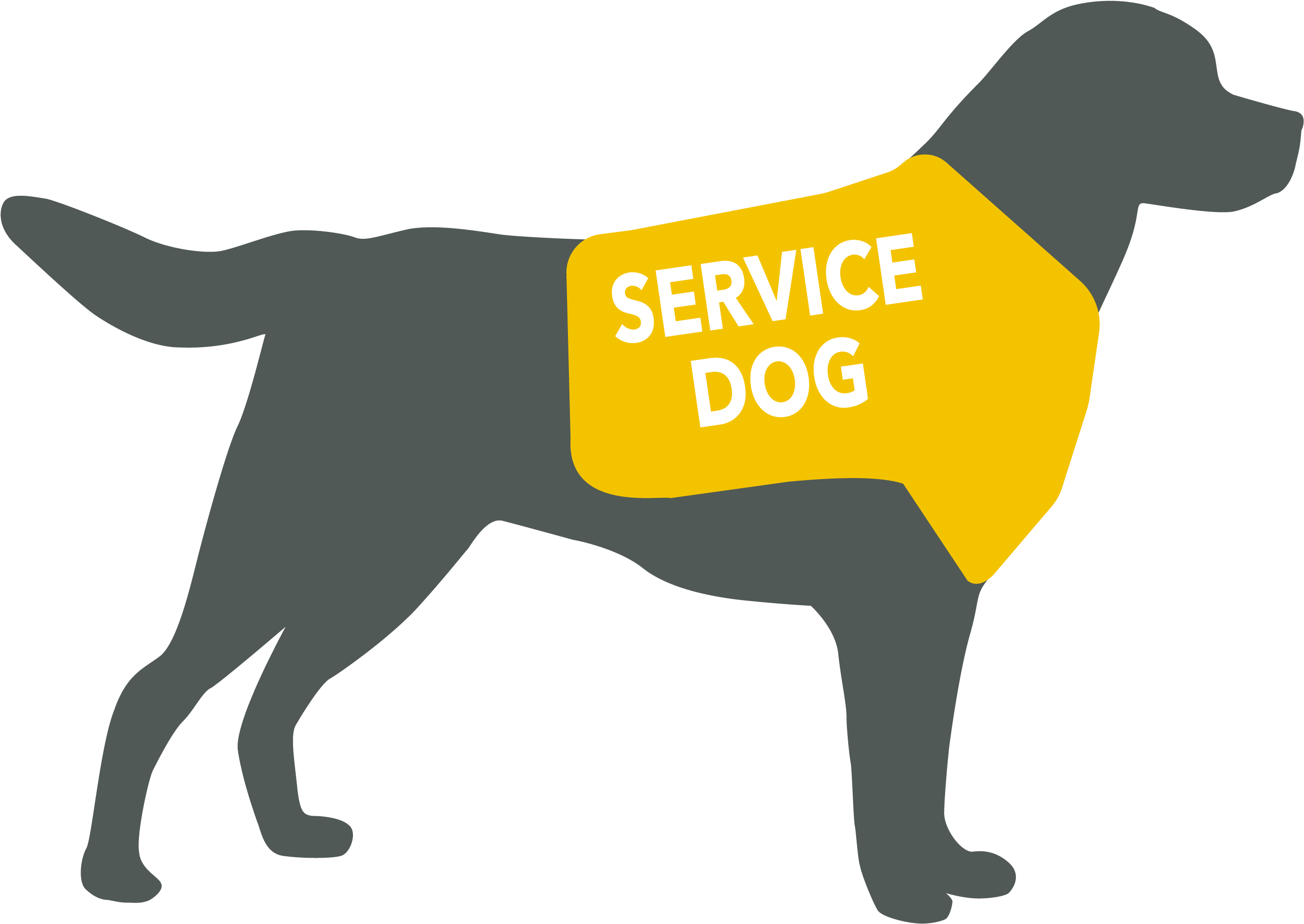 Service Animals Graphic - 24 Hour Service (4167x2084), Png Download