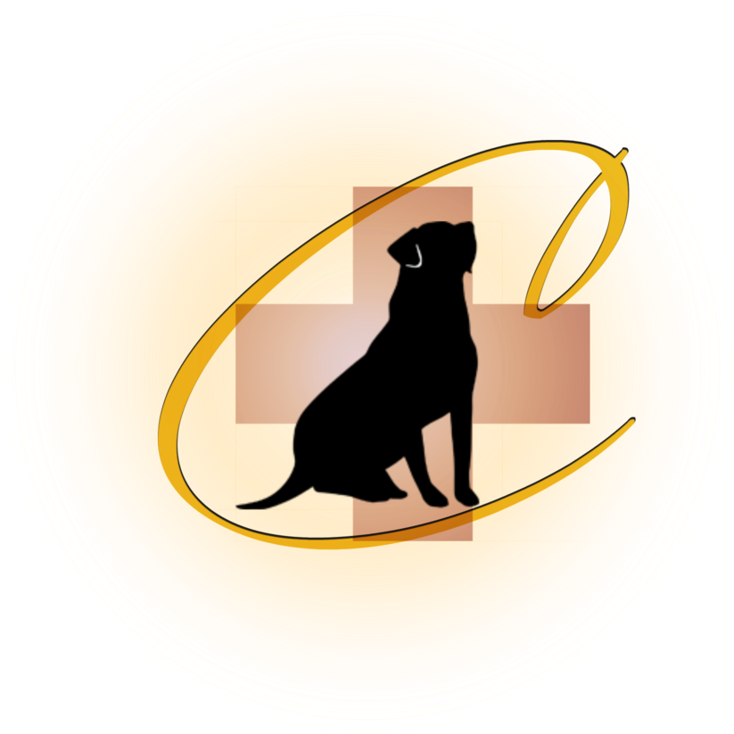 Classic Canines Service Dogs - Dog (1000x1000), Png Download