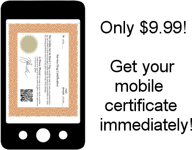 Service Dog Certification (480x300), Png Download