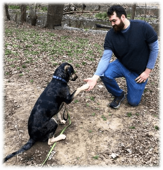 Austin Is Unbelievably Thankful For The Opportunity - Companion Dog (551x573), Png Download