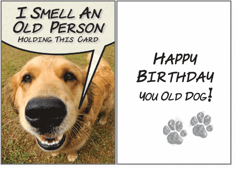 I Smell An Old Person - Dog Wishing You A Happy Birthday (800x600), Png Download