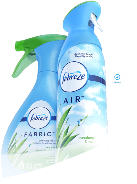 Febreze Air Fresheners And Odor Eliminating Products - Febreze (940x620), Png Download