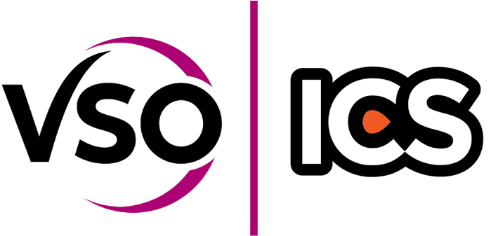 Vso Nigeria Seeks Volunteers For The International - International Citizen Service Logo (740x376), Png Download