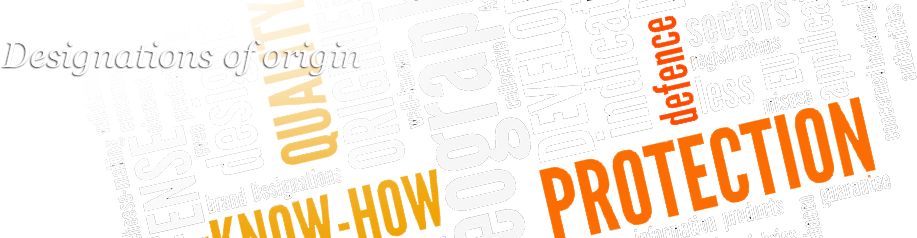 Designations Of Origin - Intellectual Property (917x238), Png Download