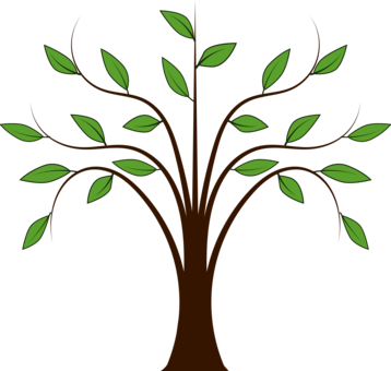 Tree Download Oak Document - Spring Trees Clip Art (358x340), Png Download