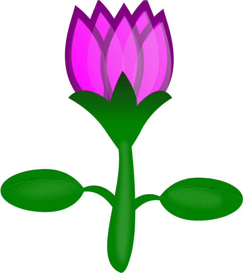 Calligraphy Lotus Medium 600pixel Clipart, Vector Clip - Cartoon Flower With Transparent Background (850x900), Png Download