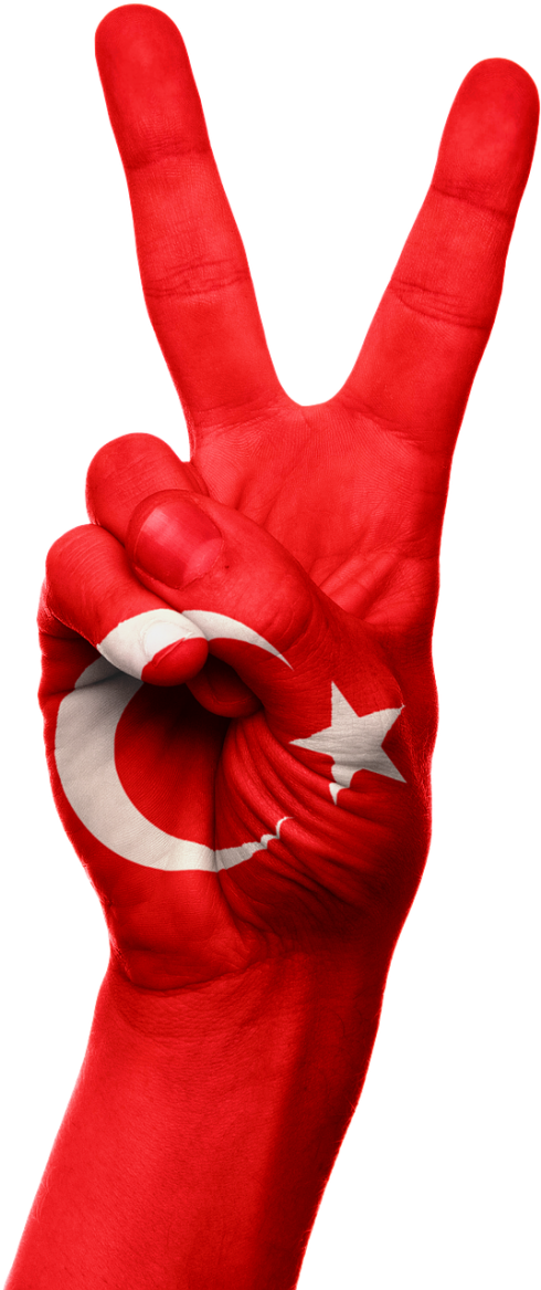 Turkey Flag Hand (500x1170), Png Download