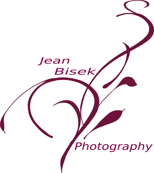 Vine Clip Art (528x595), Png Download