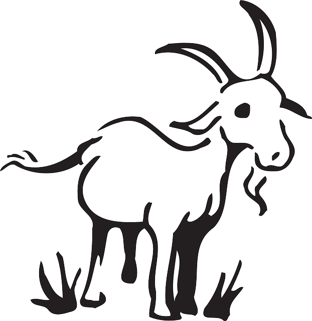Free Vector Graphic - Goat Clip Art Black And White (622x640), Png Download
