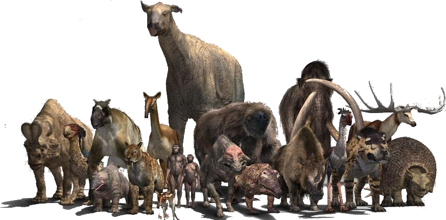 The Beasts Vector Two - Walking With Beasts Indricotherium (900x461), Png Download