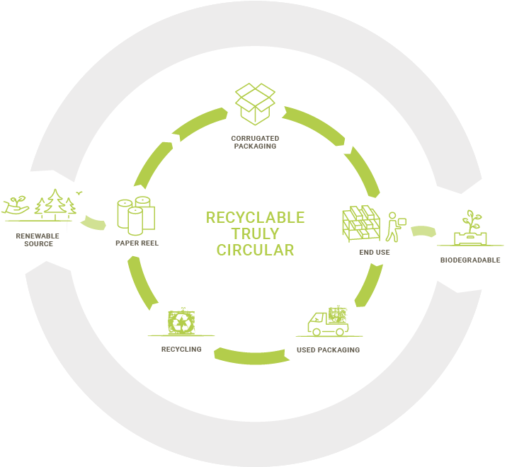 Recycled Paper Provides 88% Of The Raw Material For - Circular Economy Icon Paper (736x667), Png Download