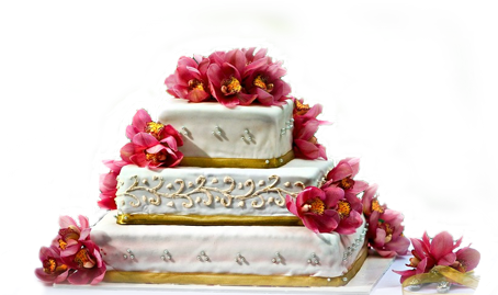 Christmas Cakes India - Best Cake In India (453x290), Png Download