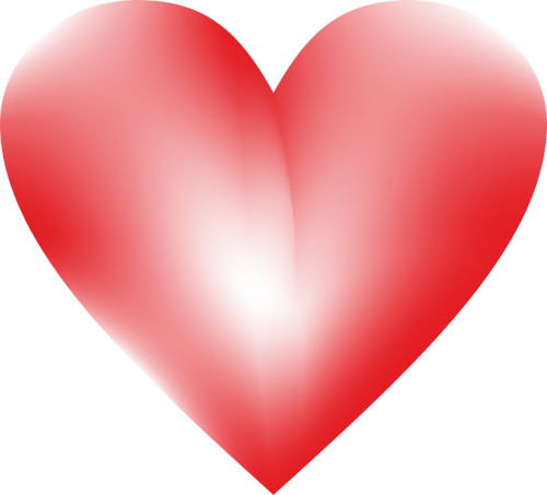 Day - Heart Vector Png (500x453), Png Download