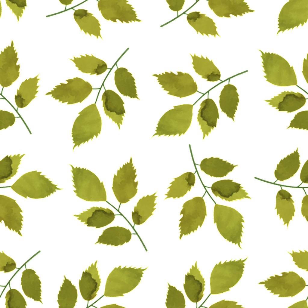 Green Foliage Cartoon Background - Portable Network Graphics (1024x1024), Png Download