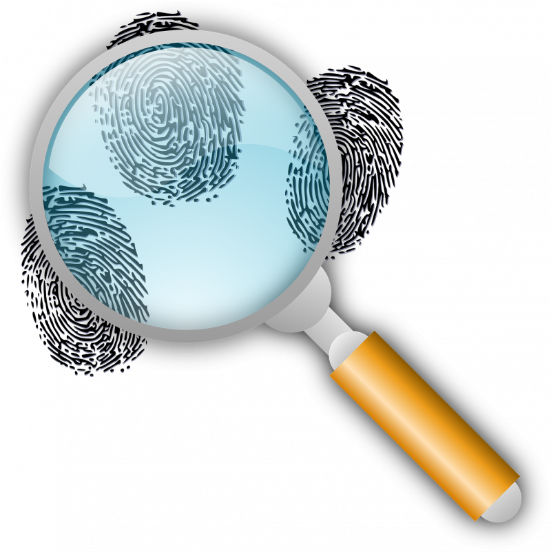 View Larger Image Police Verification - Magnifying Glass Fingerprint Png (800x801), Png Download