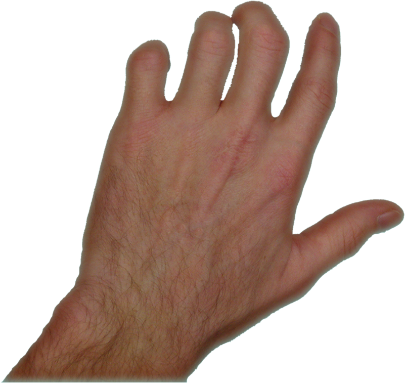 Ipad Hand Png Download - Hand (801x757), Png Download