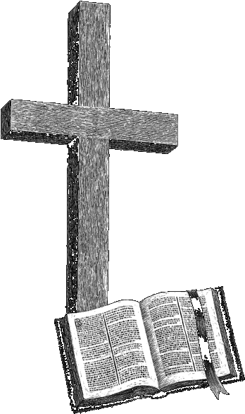 Insert Your Own - Cross (387x615), Png Download