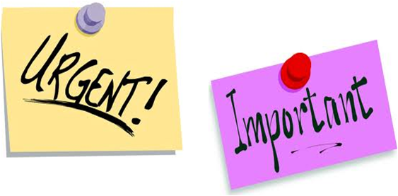 Important Urgent (563x277), Png Download