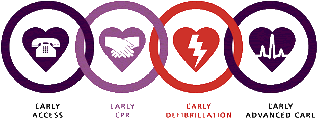 The First Link In The Chain Of Survival - Chain Of Survival Png (651x258), Png Download