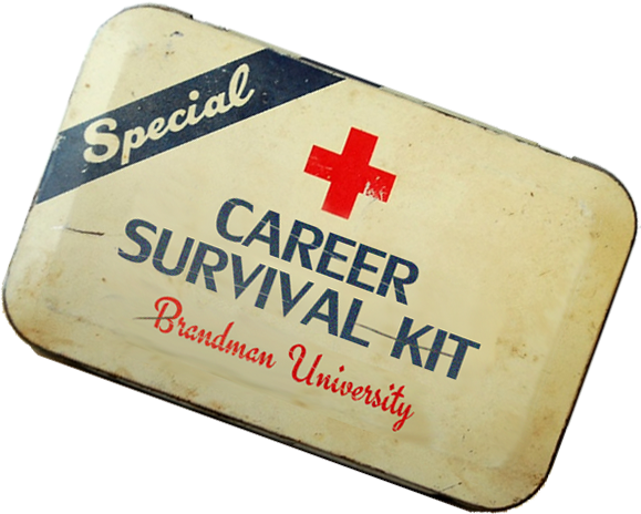 Career Survival Kit Final - Flag (579x464), Png Download