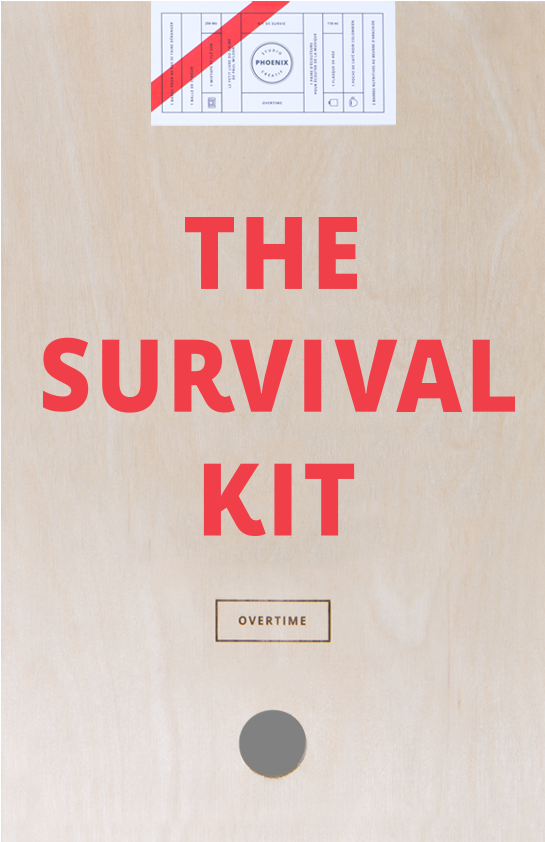 What A Beautiful Surprise The Project You've Been Working - Agency Survival Kit (598x873), Png Download