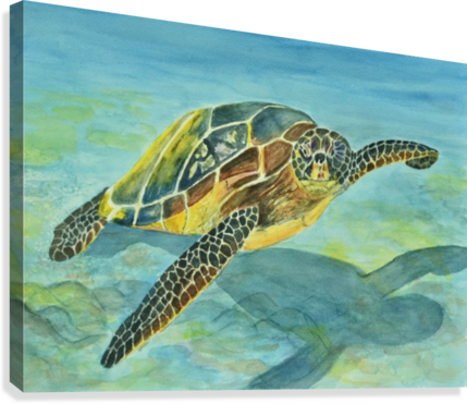 Sea Turtle - Sea Turtle Large Tote Bag, Adult Unisex, Natural, Large (429x371), Png Download