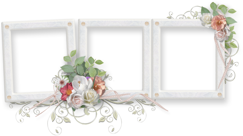 Download Frame Png Wedding Free - Wedding Photo Frame Png (795x480), Png Download