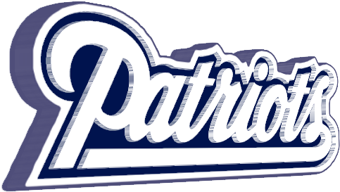 New England Patriots Photo Newenglandpatriots 3d Name - New England Patriots Png Logo (480x284), Png Download