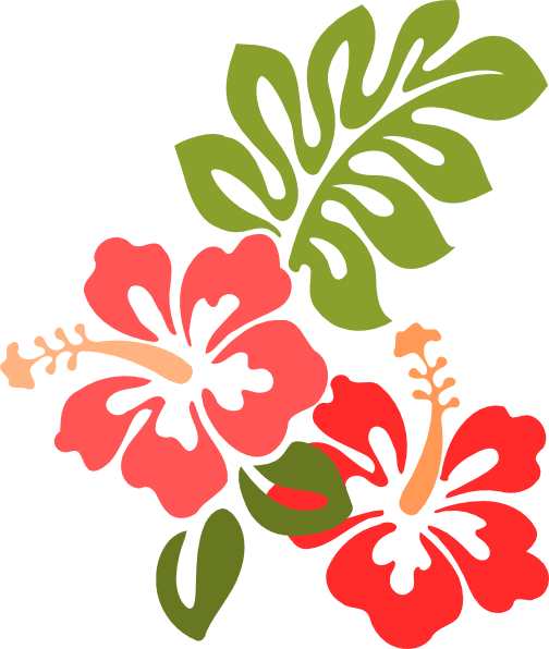 How To Set Use Hibiscus Clipart (504x596), Png Download