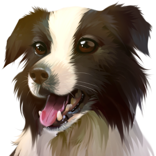 Collie - Chinese Crested Dog (500x500), Png Download