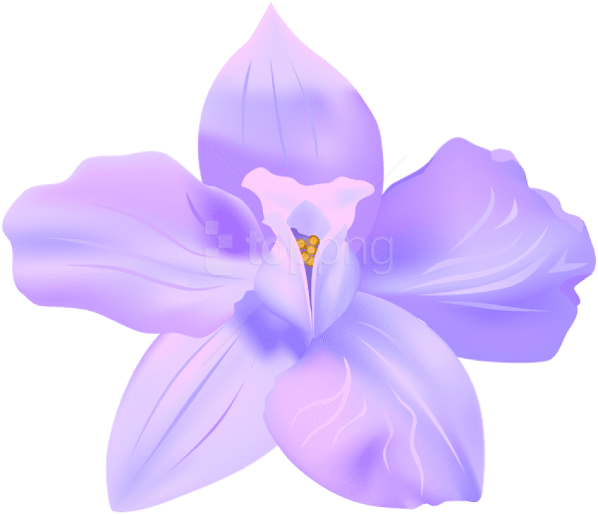 Violet Spring Flower Decorative Transparent Image - Portable Network Graphics (600x516), Png Download