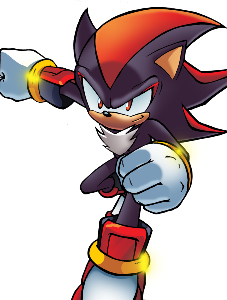 Shadow The Hedgehog - Shadow The Hedgehog Artwork (774x1032), Png Download