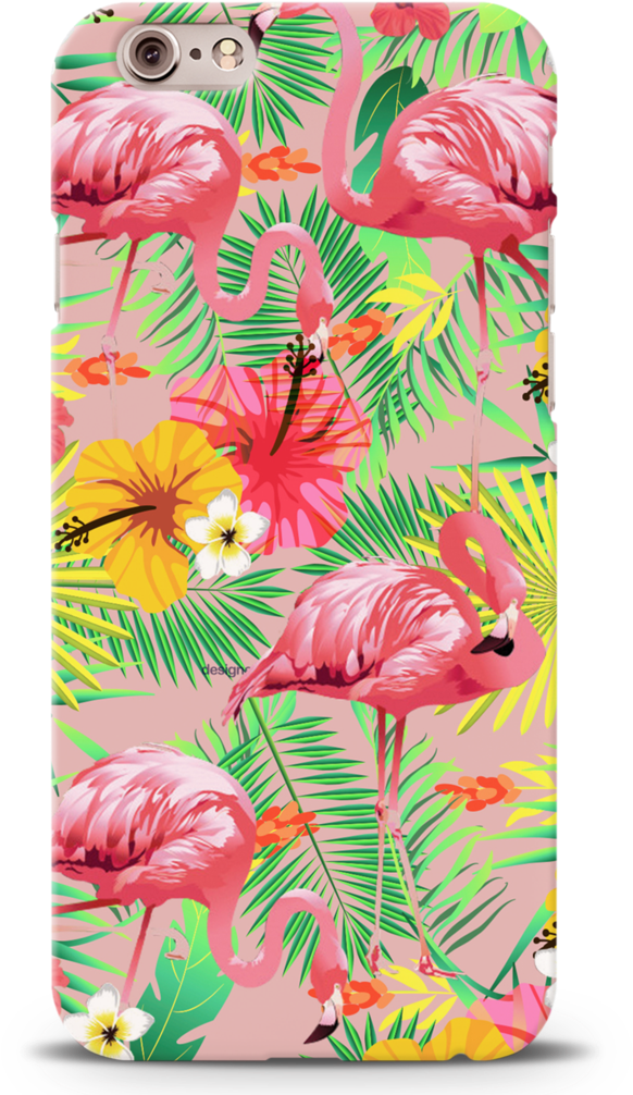 Flamingo Back Cover Case For Iphone 6/6s - Iphone X (1024x1024), Png Download