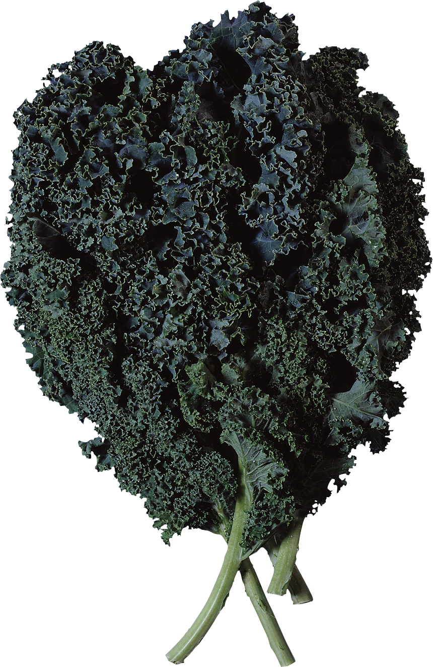 Salad Png Image - Curly Kale (860x1323), Png Download