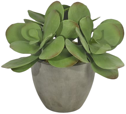 Flowerpot (434x394), Png Download