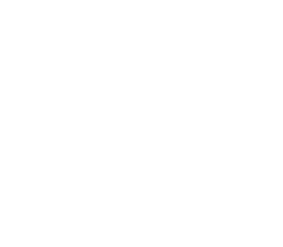The Black Cat Picture Show Is An International Adjudicated - Poster (555x485), Png Download