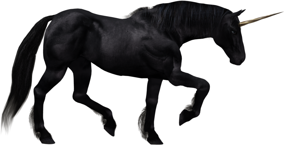 Unicorn Horse Images Black And White (1024x645), Png Download