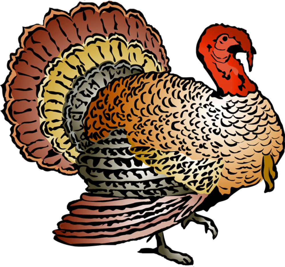 Profile Clipart Turkey - Wild Turkey Clipart (1000x938), Png Download